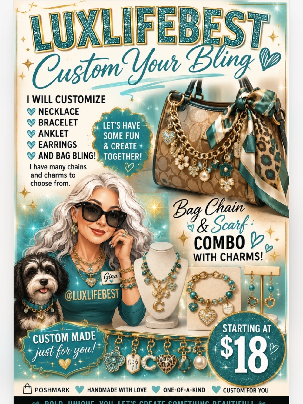 Live Flyer Show bundle Info - Picture 5 of 11